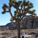 Running through the desert of Joshua Tree National&nbsp;Park..